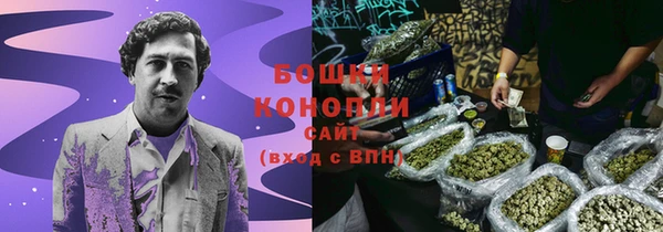 хмурый Карпинск