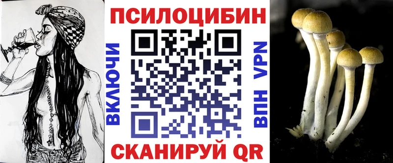 Купить Дудинка Псилоцибиновые грибы MAGIC MUSHROOMS